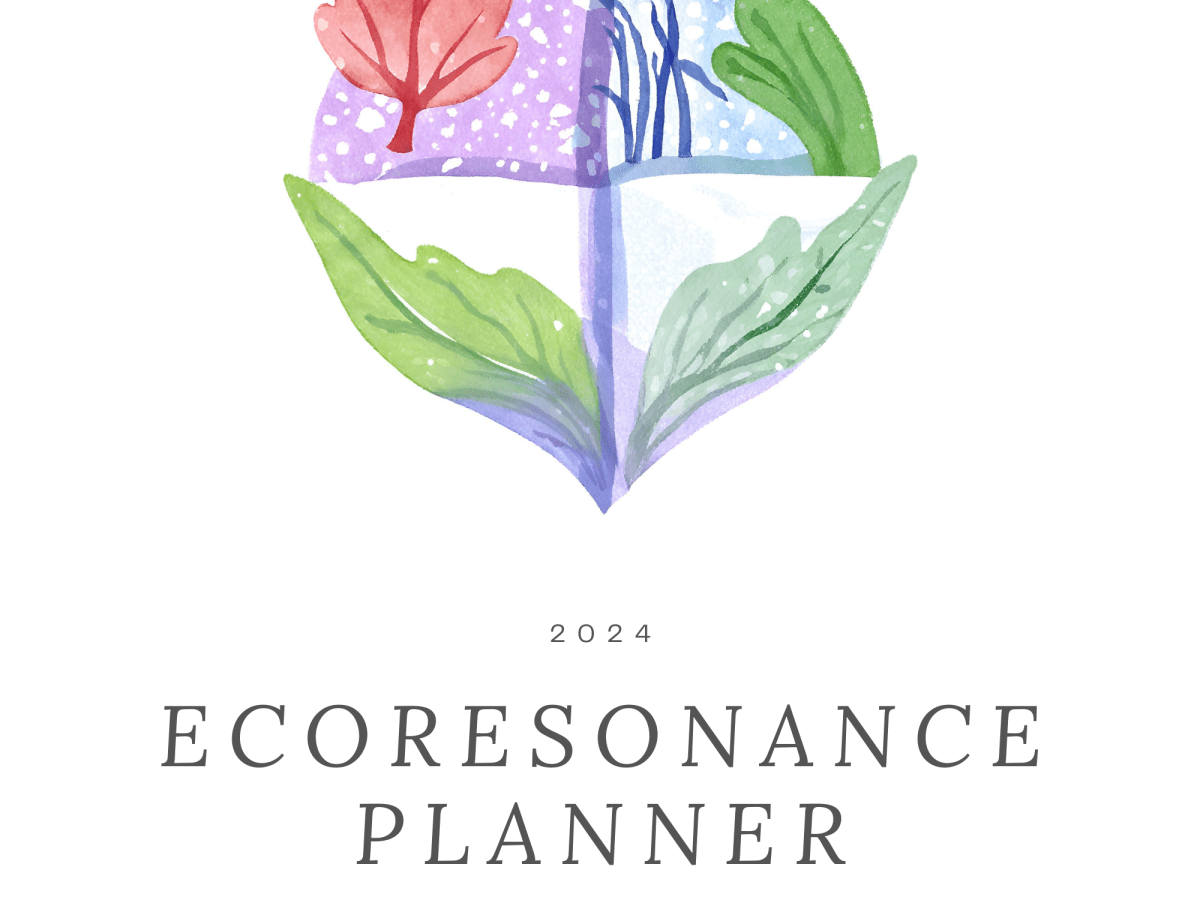 EcoResonance 2024 Kit